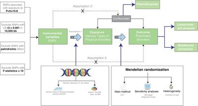 Causal effects of various types of physical activities on psychiatric disorders: a Mendelian randomization study